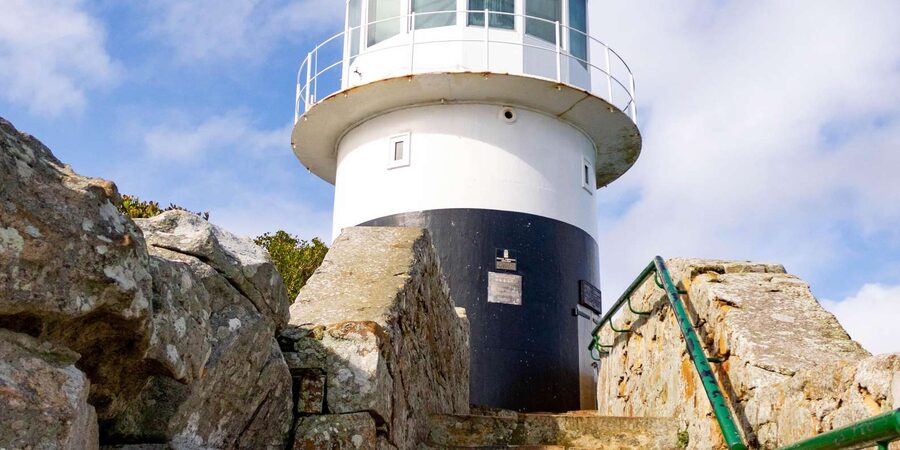 Cape Peninsula: Private Half Day Tour - The guides, the languages, and why this tour feels personal