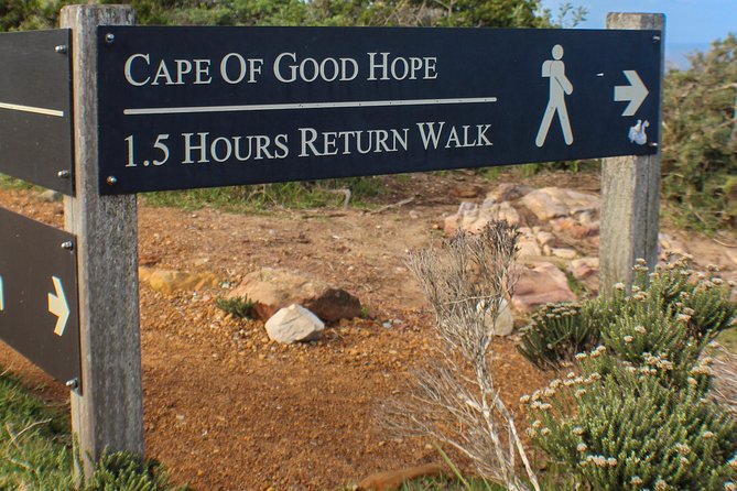 Cape Peninsula Private tour - Boulders Beach penguins and Simons Town lunch timing