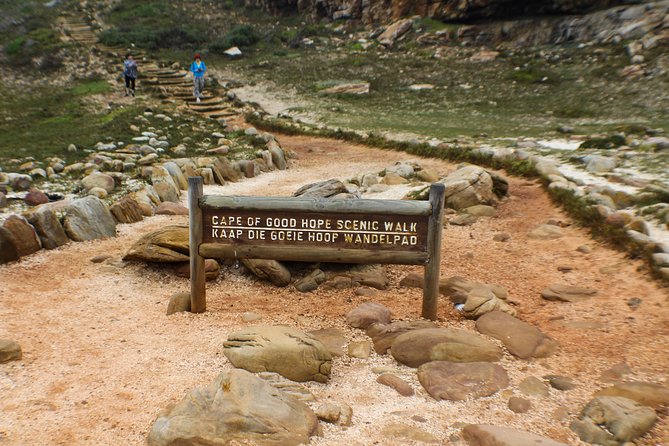 Cape Peninsula Private tour - Price and what your money actually buys