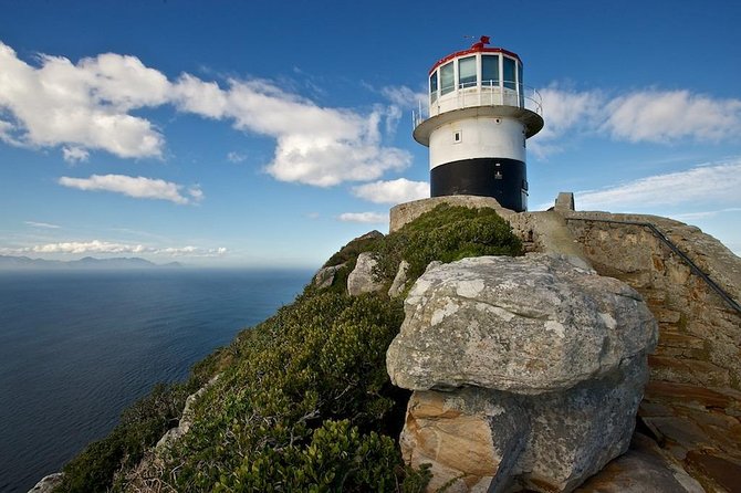 Cape Peninsula Private tour - Logistics that matter on a long Cape Peninsula day