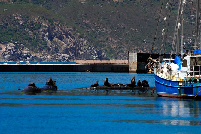 Cape Peninsula Private Tour Include Park Fees - Noordhoek Farm Village: A Breather with Shops, Cafés, and Art