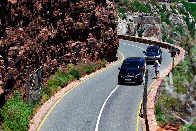 Cape Peninsula Private Tour Include Park Fees - Boulders Beach Penguin Colony: The One-Hour Nature Fix