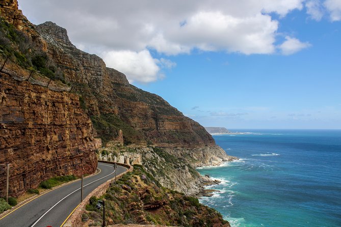 Cape Peninsula Private Tour - Pickup and timing: why the 9:00 am start matters