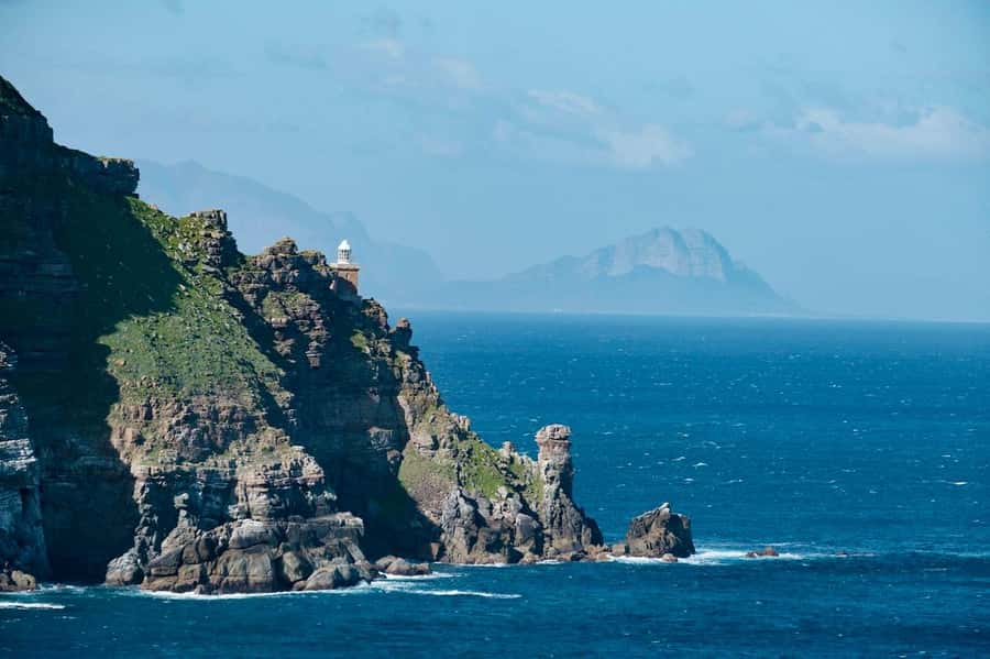 Cape Peninsula Shared Half-Day Tour - Key moments that make this Cape Peninsula tour worth your time