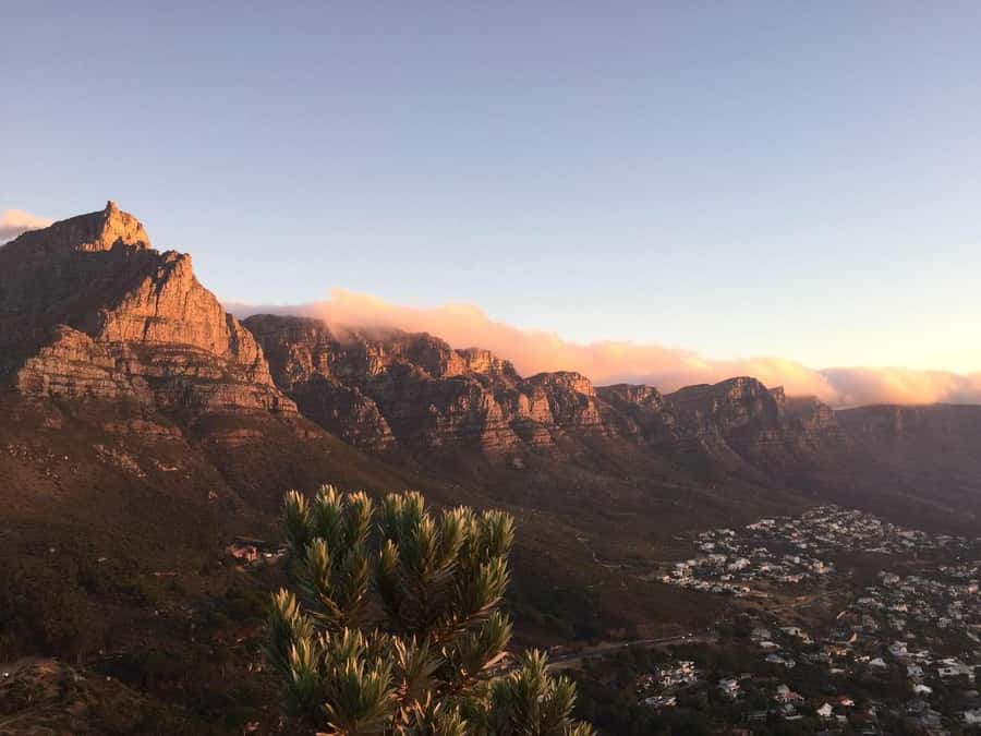 Cape Peninsula Shared Half-Day Tour - Cape Peninsula scenery, from Clifton and Camps Bay to the Twelve Apostles