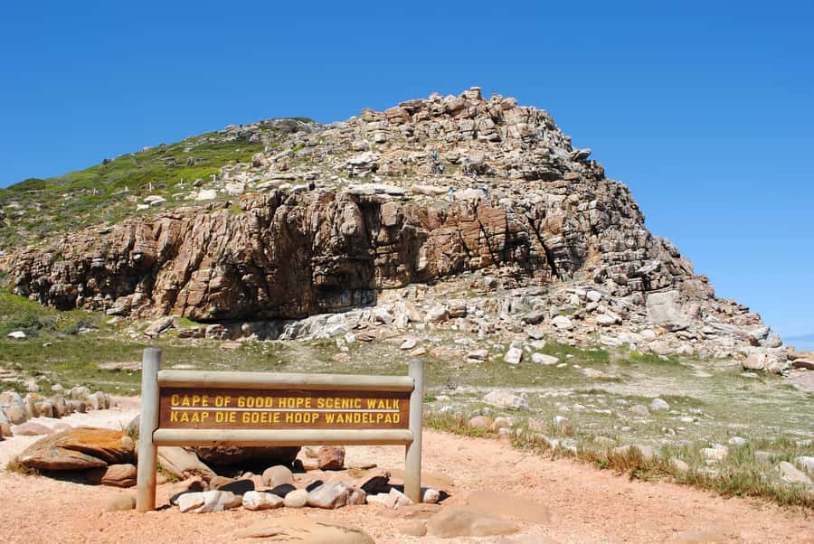 Cape Peninsula Shared Half-Day Tour - Simons Town, False Bay, and the penguin option you should plan for
