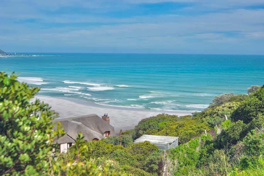 Cape Peninsula Shared Half-Day Tour - Value for money: what $87 buys you and who it fits best