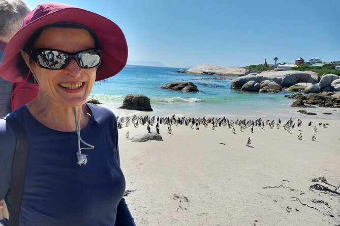 Cape Peninsula Tour Cape Town City - Boulders Beach Penguin Colony: Iconic Wildlife and a Conservation Purpose
