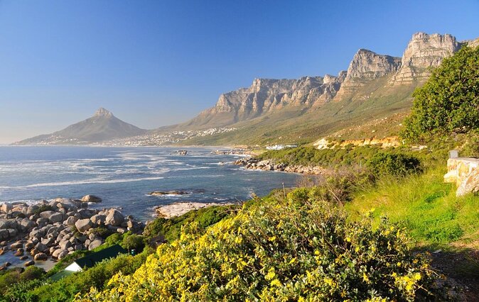 Cape Peninsula Tours - Key points you should know before you go