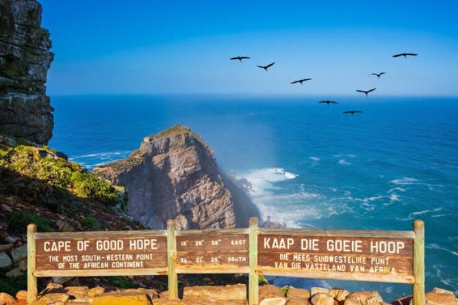 Cape Peninsula Tours - Cape Peninsula by car and ferry: what your 9-hour day really feels like