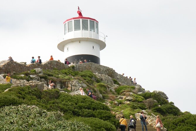 Cape Peninsula Tours - Comfort, privacy, and who this Cape Peninsula day suits best