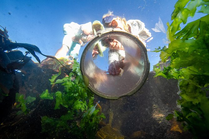 Cape Peninsula with a Marine Biologist - Ocean talk with Justin Blake, Cape Town style