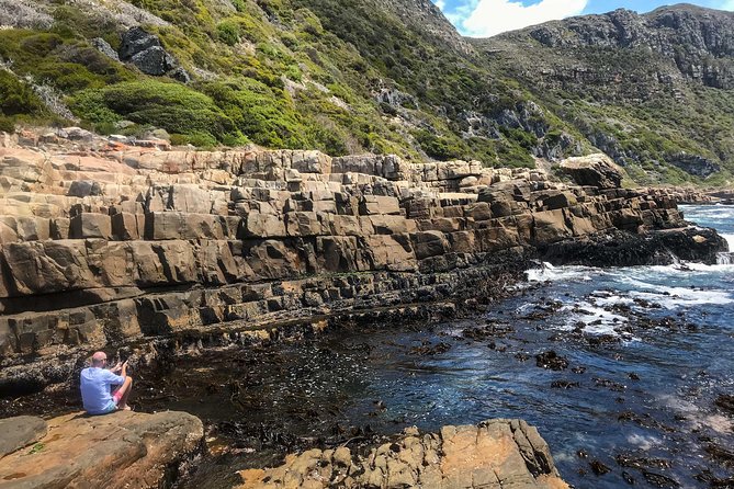 Cape Peninsula with a Marine Biologist - Cape of Good Hope, rooibos tea plus tide-aware exploration