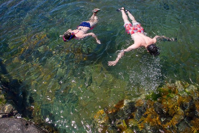Cape Peninsula with a Marine Biologist - Price and value check for the $173.16 per person