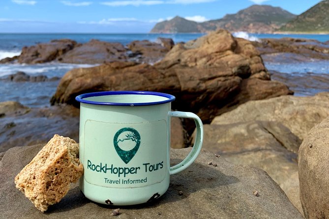 Cape Peninsula with a Marine Biologist - Transportation style, timing, and how the day flows