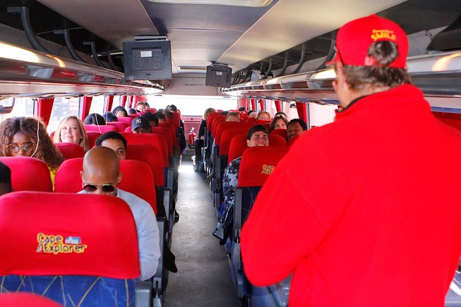 Cape Point and Boulder's Penguins Full Day Tour - Boulder’s Beach Penguins Plus Cape Point, in One Smart Day
