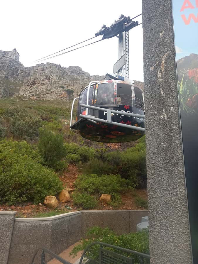 cape point and penguin ,muizenberg, bookapp - Who This Tour Suits Best
