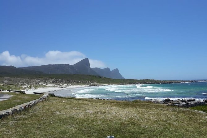 Cape Point, Boulder's Beach in Private Car Entrance Fees Included - Camps Bay photos and Chapman’s Peak: the Cape’s best angles, on your time