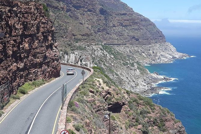 Cape Point, Boulder's Beach in Private Car Entrance Fees Included - Hout Bay and Seal Island: only if it fits your day