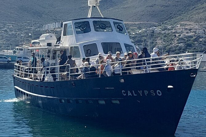 Cape Point Cape Of Good Hope And Penguins Private Tour - Bo-Kaap and the coastal breather stops you’ll actually remember