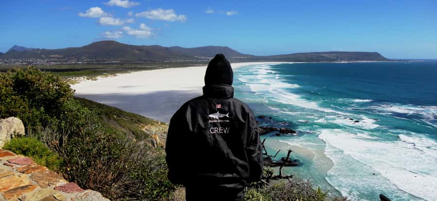 Cape Point Cape of Good Hope, Penguins Private Half day Tour - Boulders Beach Penguins: Wildlife Viewing Time That’s Not Rushed