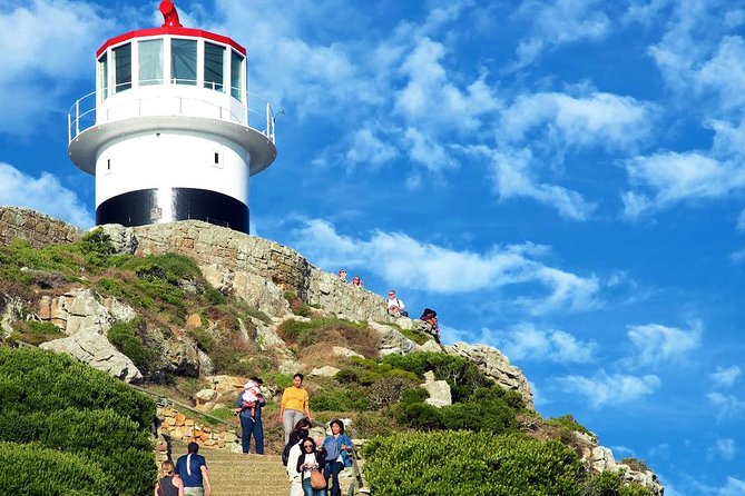 Cape Point Explore with Boulder's Penguins Small Group Day Tour - Boulders Beach Penguins: The Optional Moment That Needs a Budget