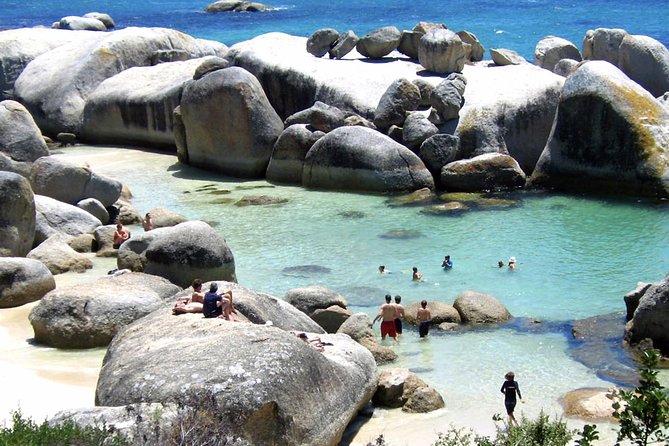 Cape Point Explore with Boulder's Penguins Small Group Day Tour - Price and Value: What You Pay For, What You Can Control