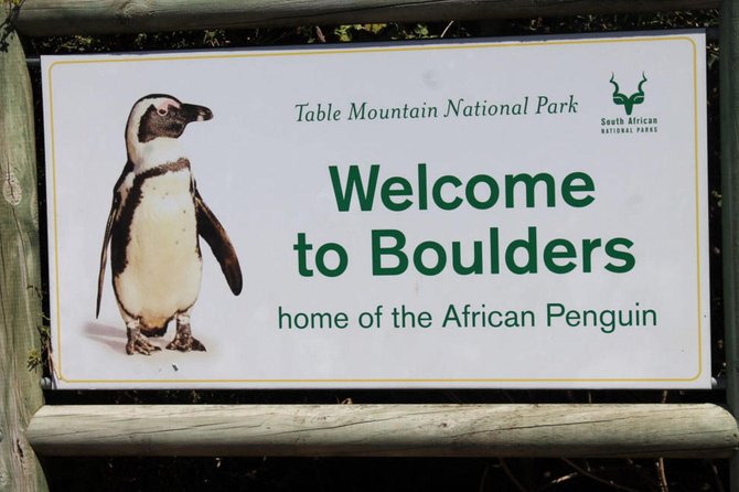 Cape Point Explore with Boulder's Penguins Small Group Day Tour - Morning Pickup and Hout Bay Free Time (Your Buffer Against a Long Day)