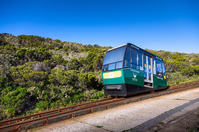 Cape Point Flying Dutchman Funicular Return Ticket - Fynbos and the Feel of the Route