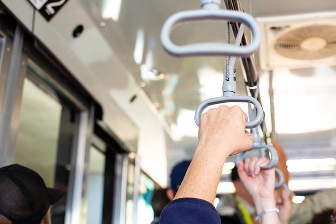Cape Point Flying Dutchman Funicular Return Ticket - Your Half-Day Flow, From Main Road to Lighthouse Area