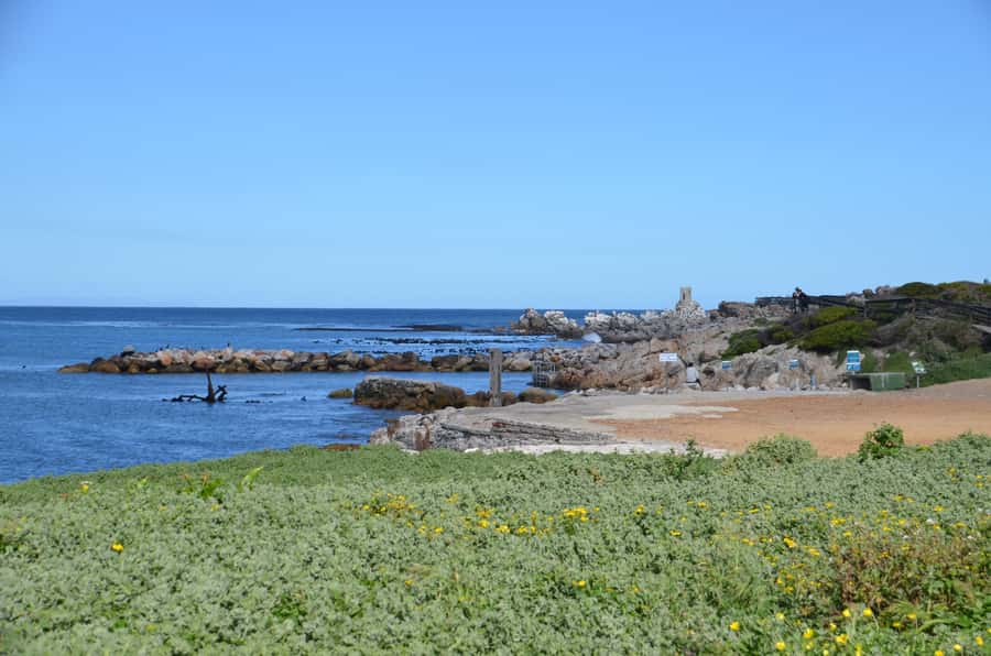 Cape Point Full-Day Tour From Cape Town - Cape Point lighthouse and the funicular shortcut for tired legs
