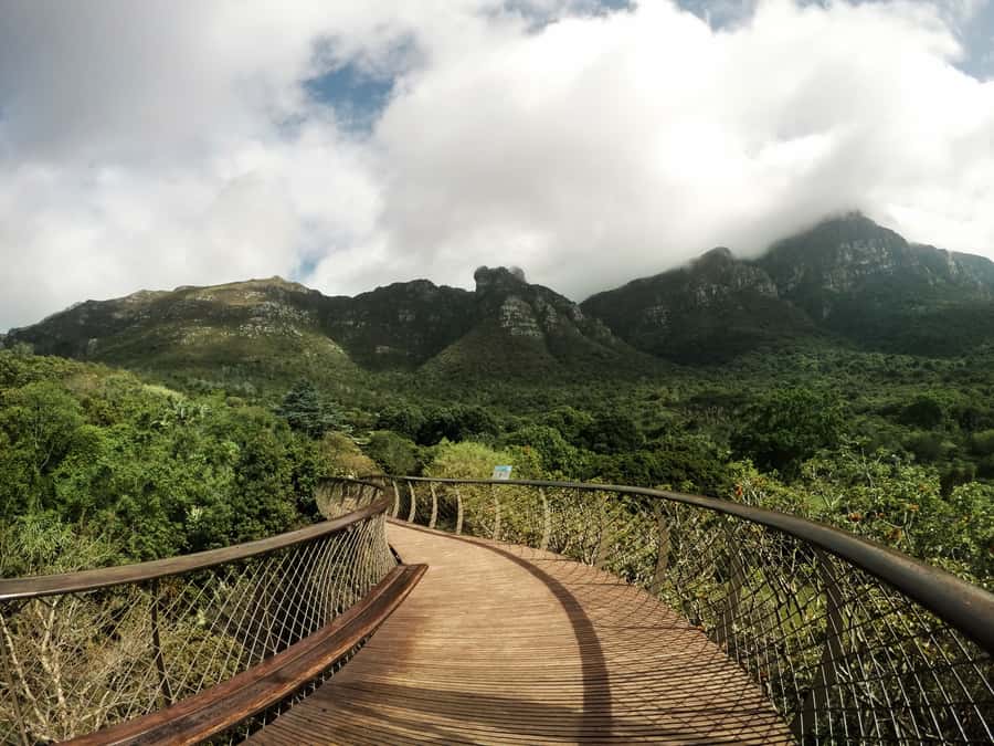 Cape Point Full-Day Tour From Cape Town - Kirstenbosch Botanical Gardens: the calm finish after the coastal rush