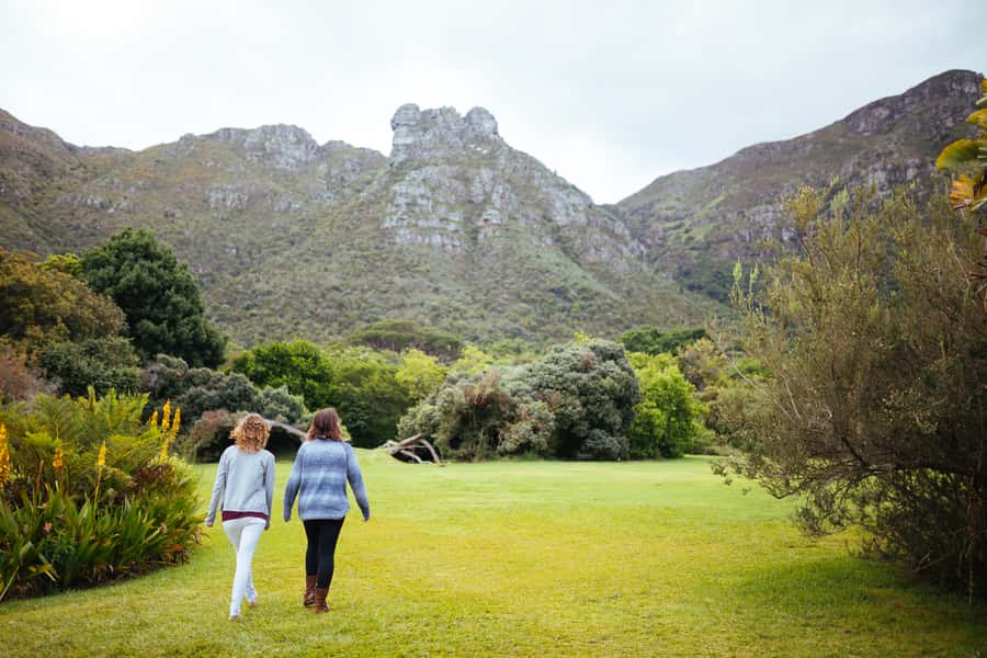 Cape Point Full-Day Tour From Cape Town - Price and logistics: what you’re really getting for about $113