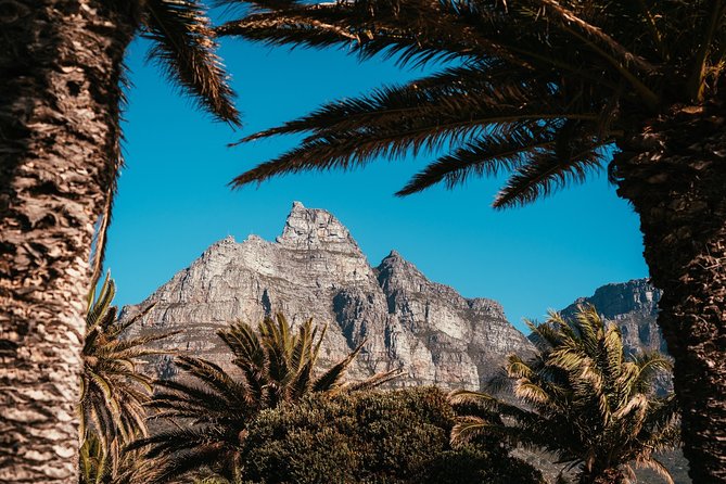 Cape Point Penguin Tour - Chapman’s Peak drive and why the viewpoint pacing works