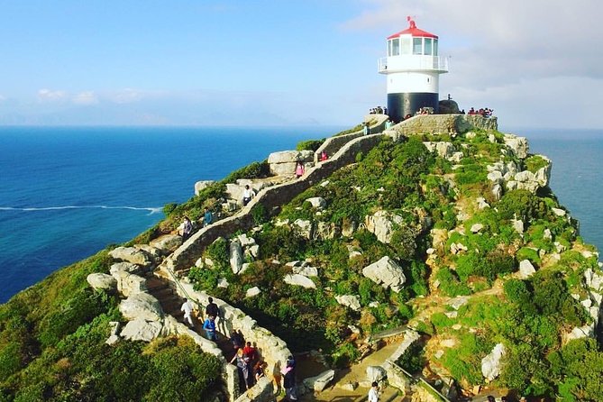 Cape Point Penguin Tour - Cape Point and Cape of Good Hope Nature Reserve: the coast beyond the animals