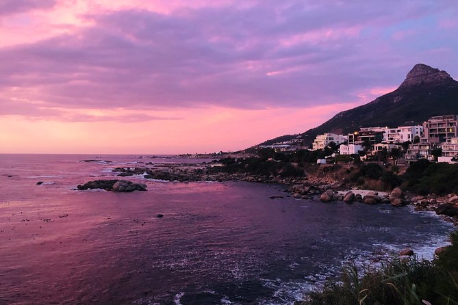Cape Point Penguin Tour - The optional Hout Bay seals stop, then the return via Scarborough and Noordhoek