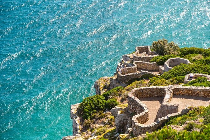 Cape Point Penguin Tour - Llandudno harbor and the Seal Island option near Hout Bay