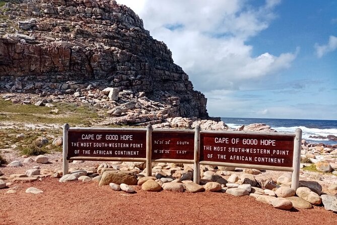 Cape Point, Penguins & Wine Tasting In Constantia Full Day Tour - Cape Peninsula, Penguins, and Constantia in One Long Day