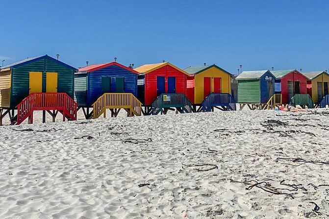 Cape Point, Penguins & Wine Tasting In Constantia Full Day Tour - Cape Point Nature Reserve: Where the Oceans and the Cliffs Meet
