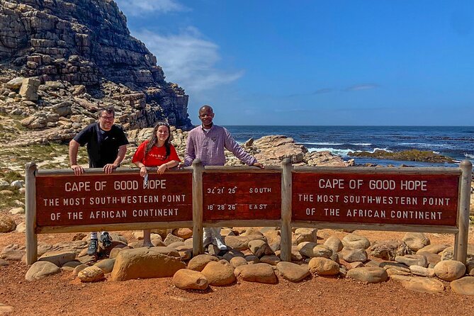 Cape Point, Penguins & Wine Tasting In Constantia Full Day Tour - Boulders Beach Penguins: The Wildlife Moment You Will Actually Remember