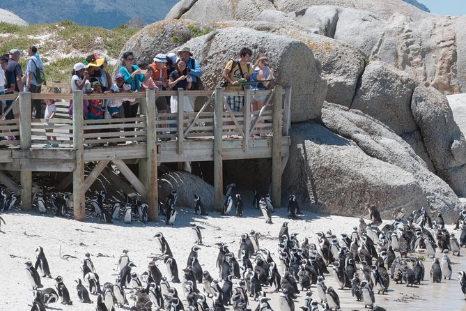 Cape Point Sightseeing Tour including Cape of Good Hope full day from Cape Town - Why this Cape Peninsula day tour makes sense for limited time