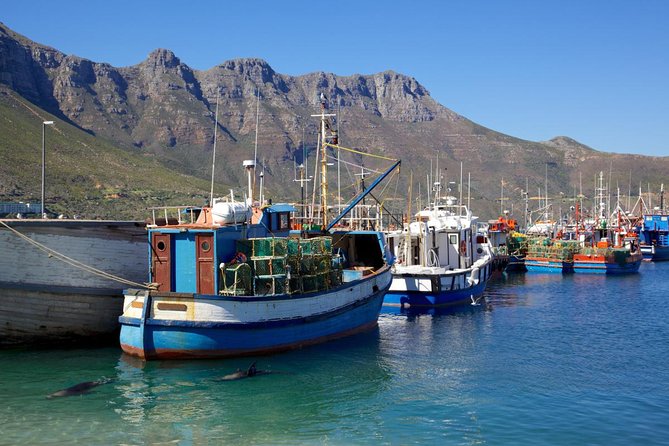 Cape Point Sightseeing Tour including Cape of Good Hope full day from Cape Town - Chapman’s Peak Drive: the quick photo stop that people plan their whole day for