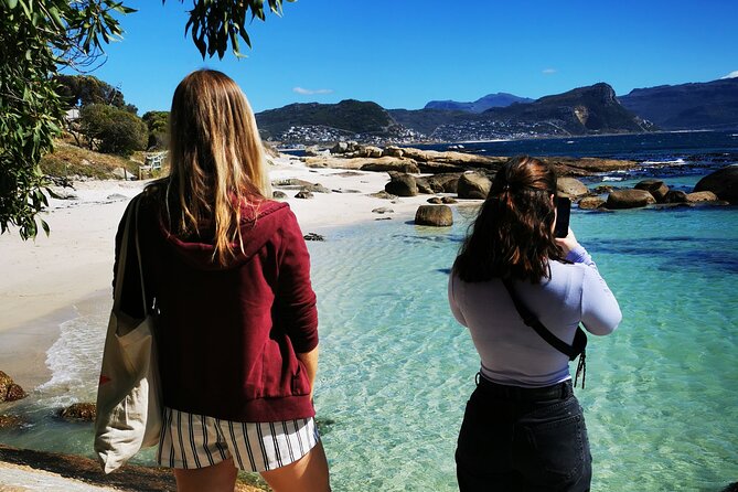 Cape Point Xplorer - Boulders Beach Penguin Colony: How to Enjoy African Penguins Without Getting in the Way