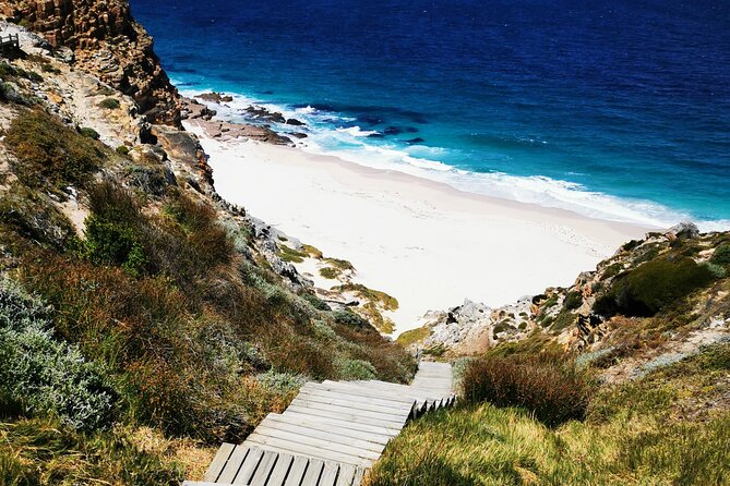 Cape Point Xplorer - Small-Group Comfort and Logistics That Keep the Day Smooth