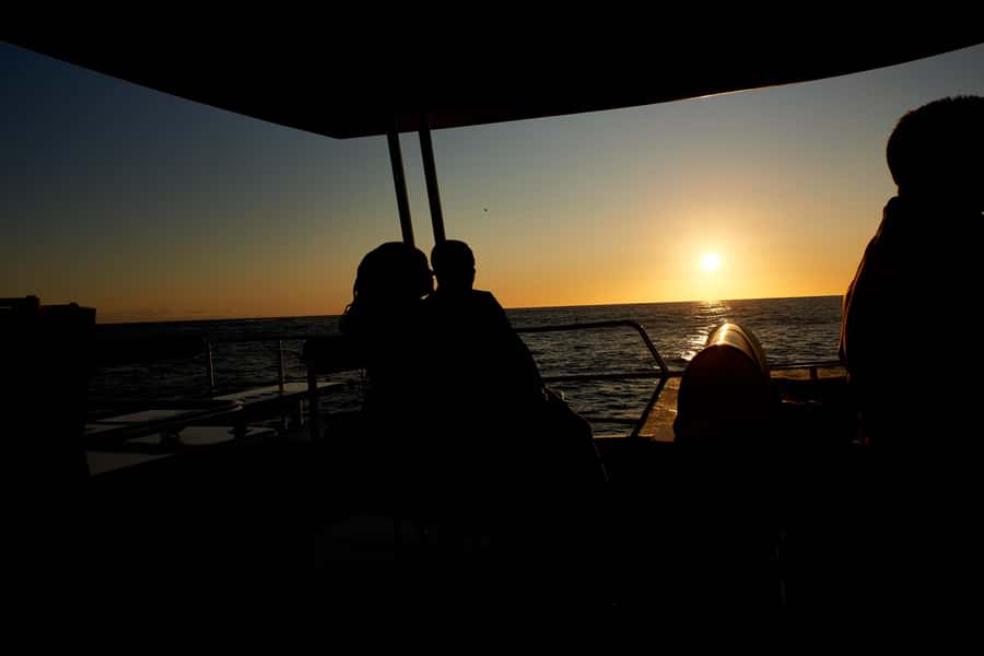 Cape Town: 1.5-Hour Luxury Sunset Cruise with Prosecco - Key things I’d bet you’ll care about