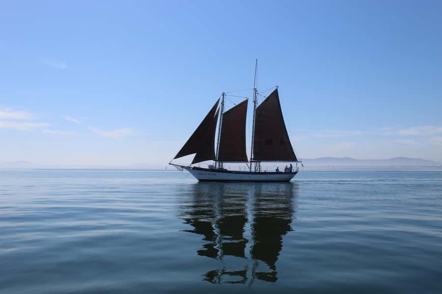 Cape Town: 1 Hour Table Bay Sailing Tour - Key Points Worth Knowing Before You Go