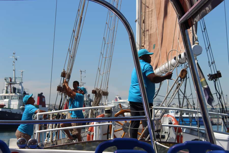 Cape Town: 1 Hour Table Bay Sailing Tour - Should You Book This 1-Hour Table Bay Sail?