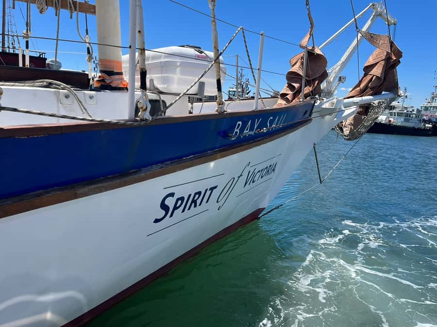 Cape Town: 1 Hour Table Bay Sailing Tour - How the 1-Hour Table Bay Route Really Feels