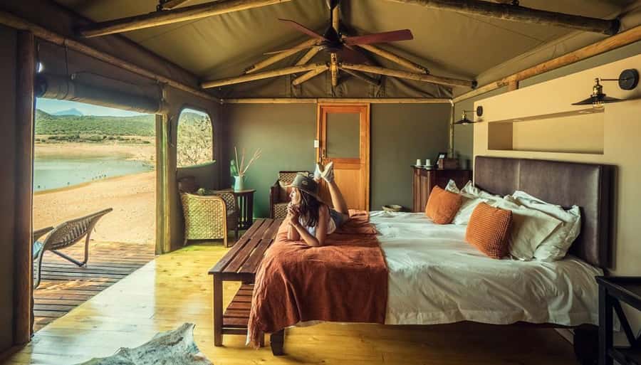 Cape Town: 2-Day Wildlife Tour with Safaris and Luxury Stay - Two game drives plus luxury tent life in the Klein Karoo