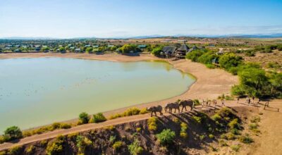 2-Day Wildlife Tour with Safaris and Luxury Stay
